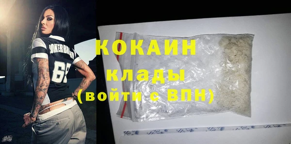 сатива Кукмор