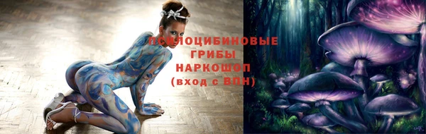 сатива Кукмор