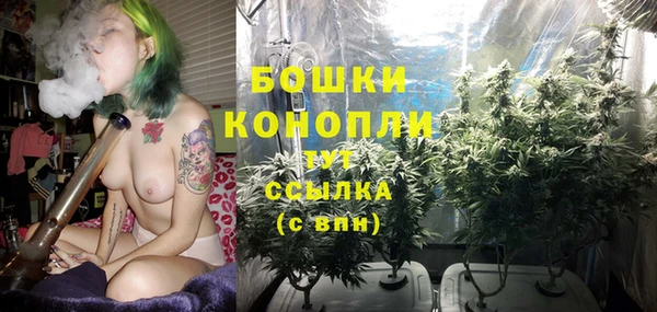 сатива Кукмор