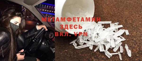 сатива Кукмор