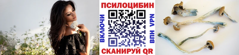 Псилоцибиновые грибы MAGIC MUSHROOMS  Купить закладки  Ханты-Мансийск 